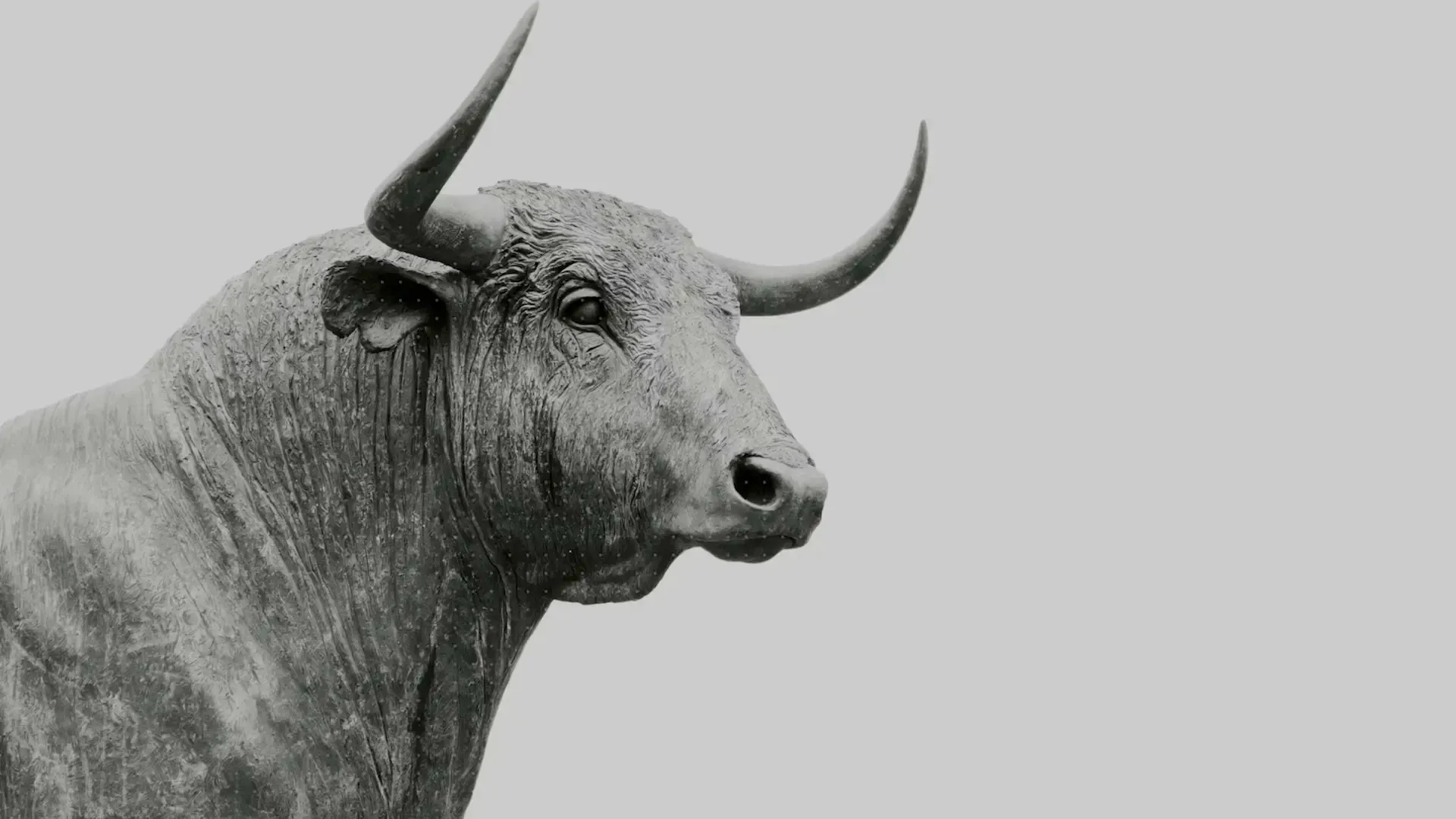 Bitcoin Bullrun